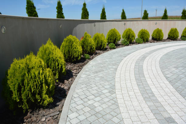 Best Residential Paver Driveway  in Chapel Hill, TN